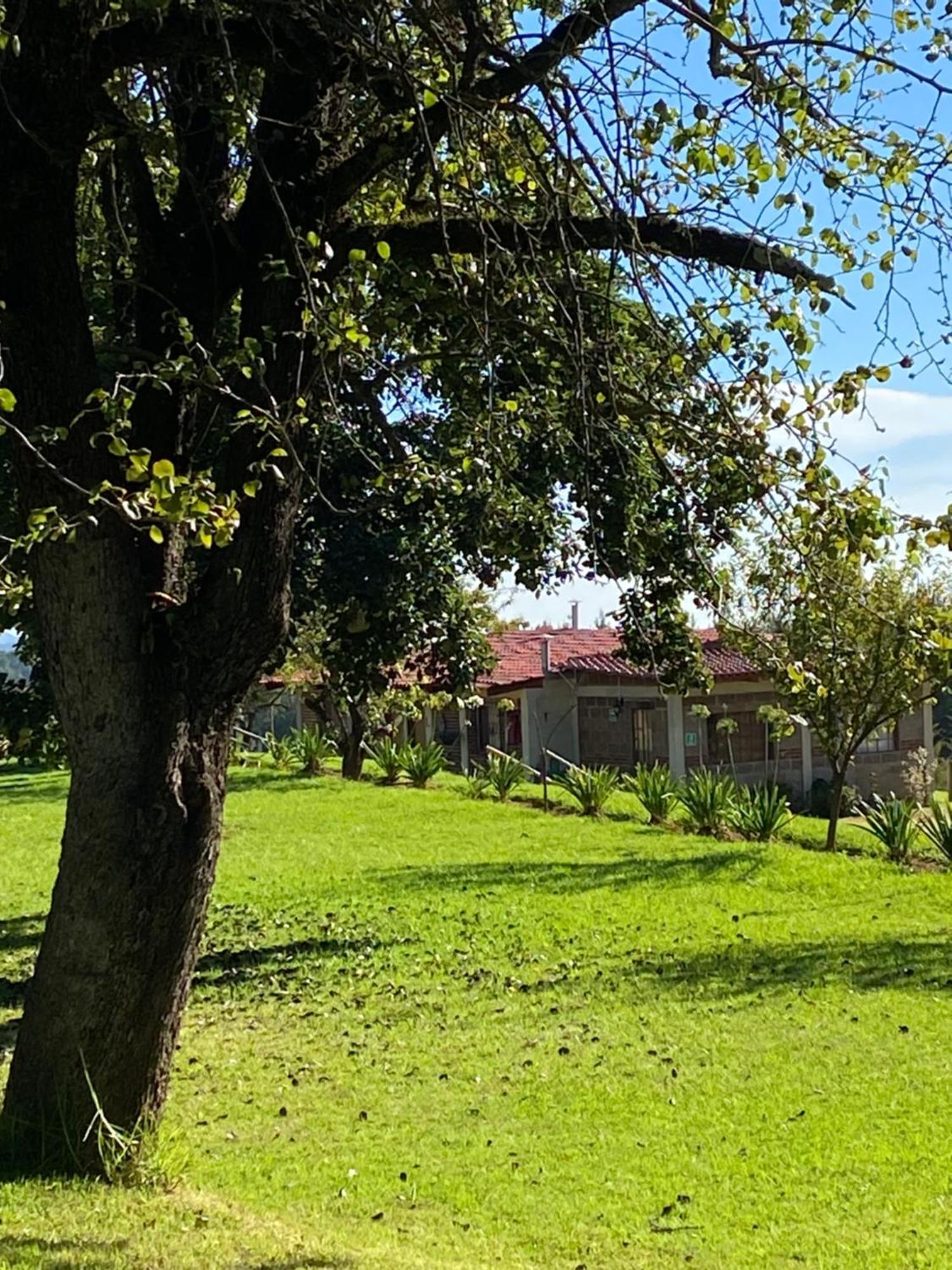 Cabanas Huerta La Mision, Zacatlán Exteriör bild
